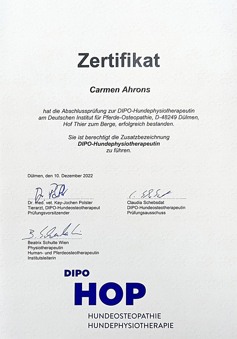 DIPO HOP Zertifikat